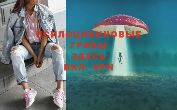 не бодяженный Алзамай