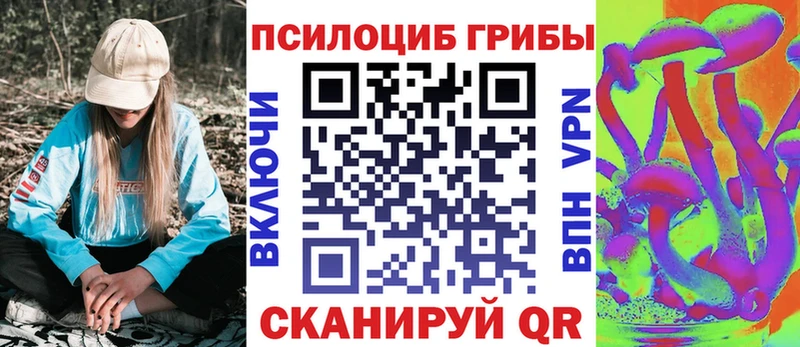 Псилоцибиновые грибы Psilocybe  Кизилюрт 